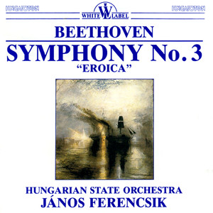 Symphony No. 3 in E-Flat Major, Op. 55 "Eroica" - Symphony No. 3 in E-Flat Major, Op. 55 "Eroica": I. Allegro con brio (降E大调第3号交响曲，作品55“英雄” - 第一乐章 有活力的快板)