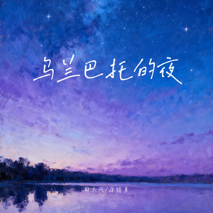 乌兰巴托的夜