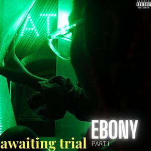 Awaiting Trial, Pt. 1 (Explicit)