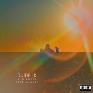Duidelik (feat. Mlamli) (Explicit)