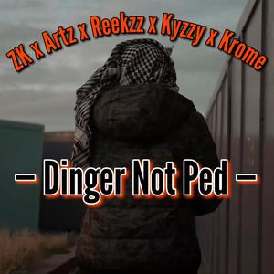Dinger Not Ped (feat. ZK, Artz, Reekzz & Kyzzy) [Explicit]