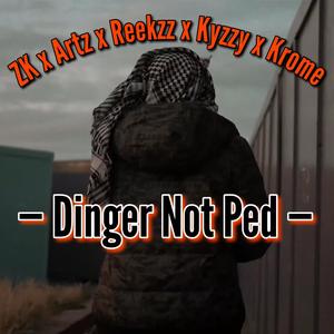 Dinger Not Ped (feat. ZK, Artz, Reekzz & Kyzzy) (Explicit)