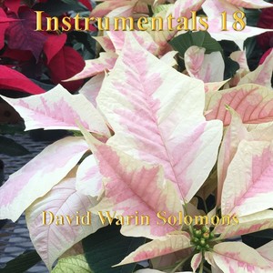 Instrumentals 18