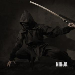 Ninja