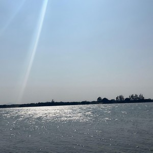 故乡游封面