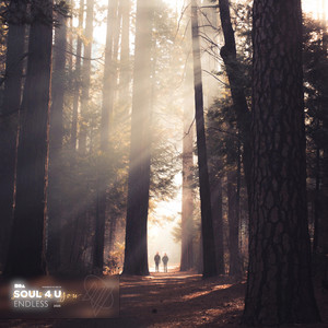 Soul 4 U