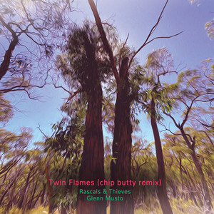 Twin Flames (Chip Butty Remix)