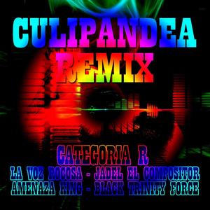 Culipandea Remix (feat. La Voz Rocosa, Jadel El Compositor, Amenaza King & Blacktf) [Explicit]