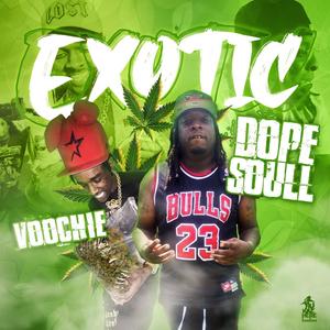 Exotic (feat. Voochie P) (Explicit)