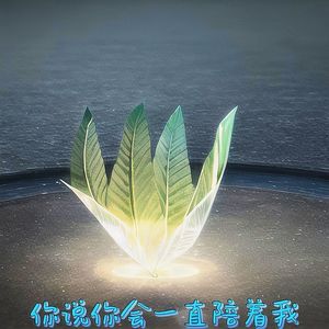 傻瓜