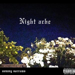 night-ache.wav (Explicit)