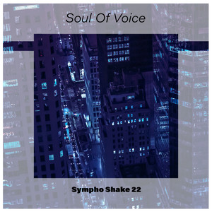 Soul Of Voice Sympho Shake 22