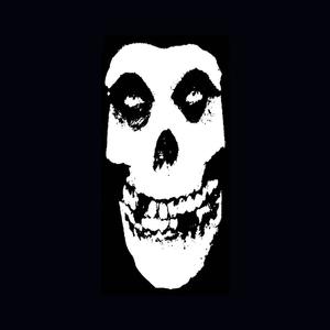 MISFITS (Radio Edit) [Explicit]