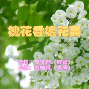 槐花香槐花美