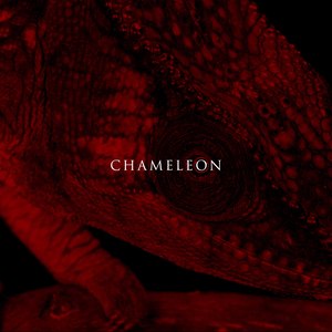 Chameleon