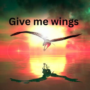 Give me wings