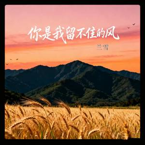 你是我留不住的风