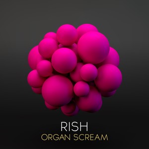 Organ Scream (Original Mix)