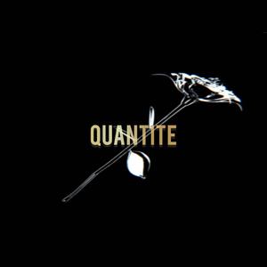 QUNATITE (feat. Tounsy) (Explicit)