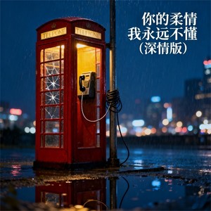 你的柔情我永远不懂 (深情版)