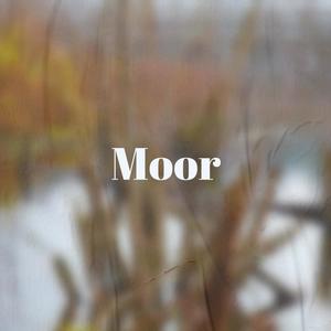 Moor