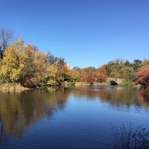 那一年，那一天