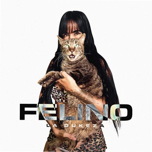 Felino
