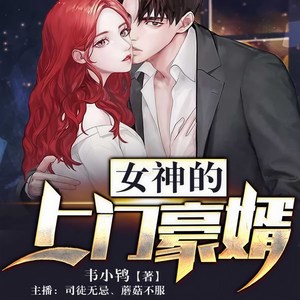 女神的上门豪婿|亿万富豪不装了