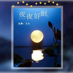 难解风情 (DJ长音频)封面