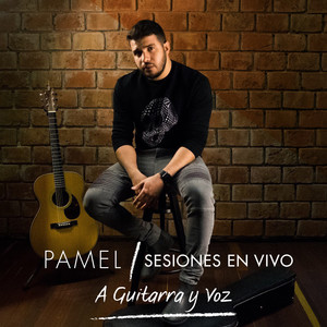 Sesiones en Vivo a Guitarra y Voz