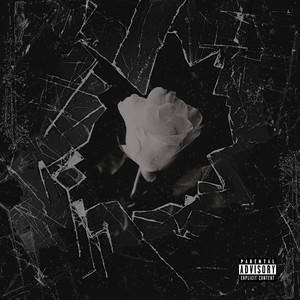 The Introduction (Interlude)