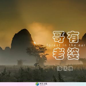 火花封面