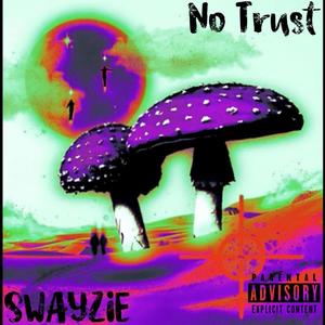 No trust (Explicit)