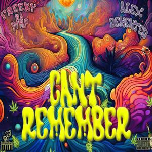 Cant Remember (feat. Alex Demented) (Explicit)