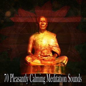 70 Pleasantly Calming Meditation Sounds