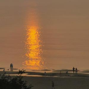 꼭꼭 숨어라 (Hide and Seek)