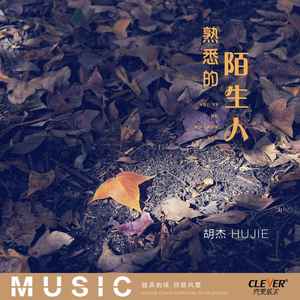 熟悉的陌生人 (DJ版伴奏)