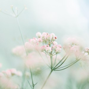 梦里花 (HoWiggin remix|Remix)