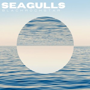 Seagulls