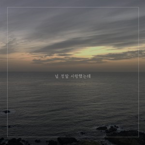 널 정말 사랑했는데 (Feat. 테라) (真心爱过你)