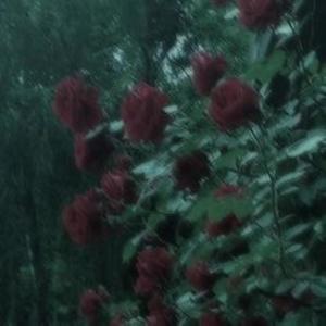 ok im not cool (Explicit)