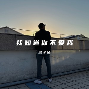 天若有情 (DJ版)