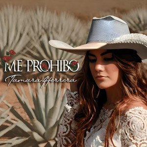 Me Prohibo