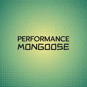 Performance Mongoose
