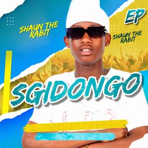 Sgidongo