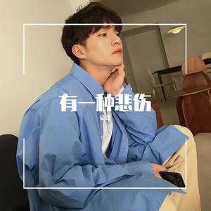 记得 - 有一种悲伤