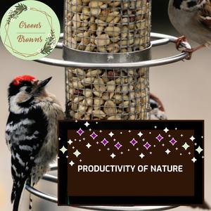 Productivity of Nature