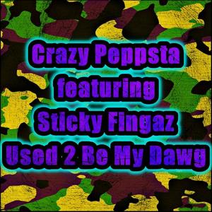 Used 2 Be My Dawg (feat. Sticky Fingaz) (Explicit)