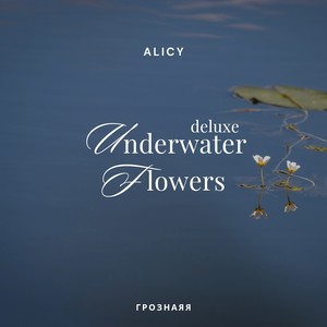 Underwater Flowers (Deluxe)