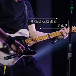 疼你爱你想着你